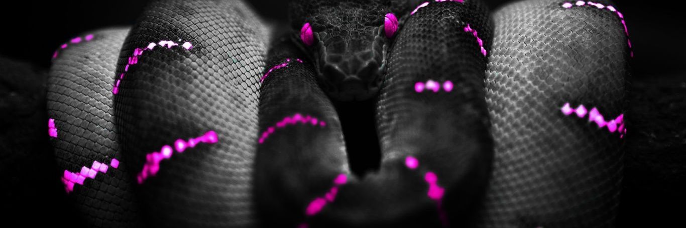 izar696's profile banner image