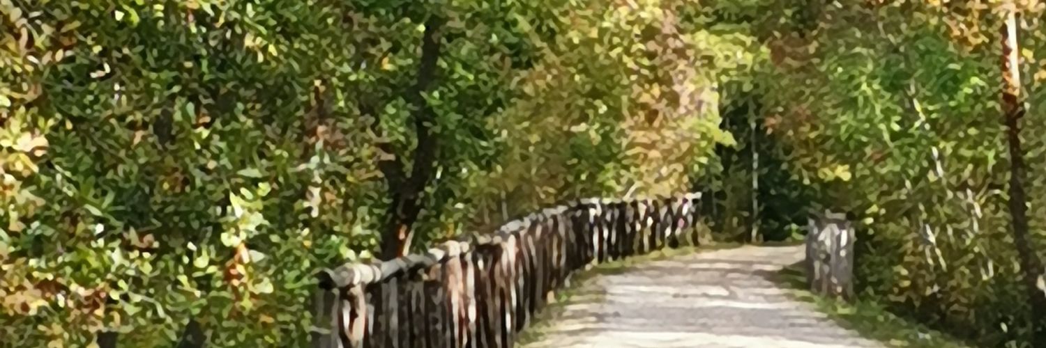 car_tab_'s profile banner image