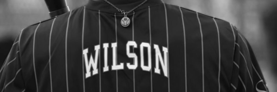 Will Wilson banner
