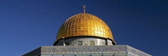 محمد عبد الرحمن banner