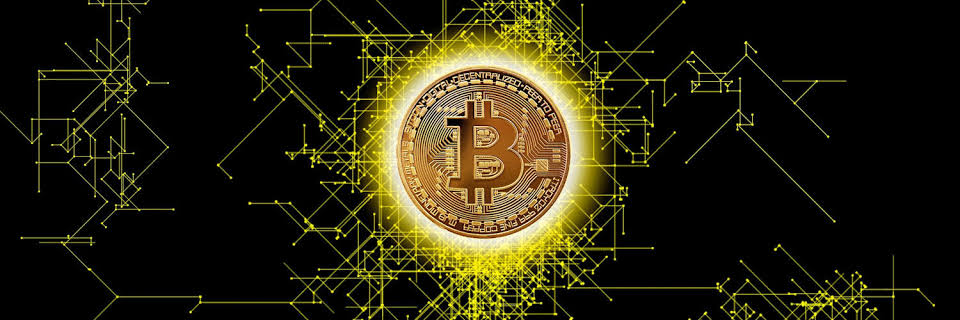 Crypto David banner
