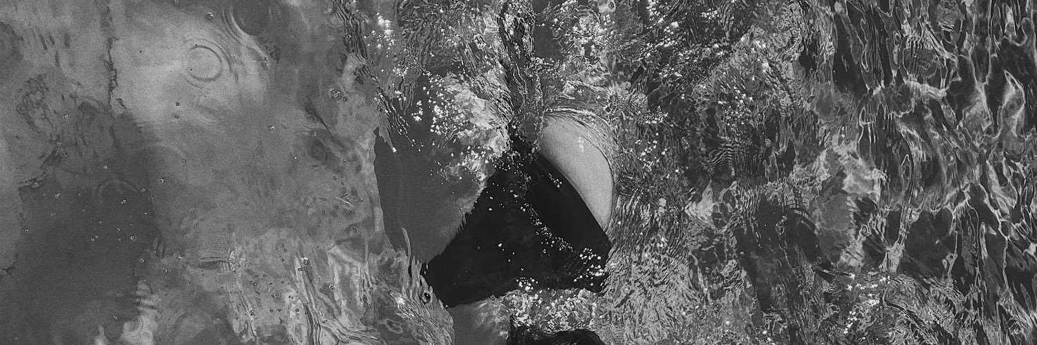 Kris2599's profile banner image