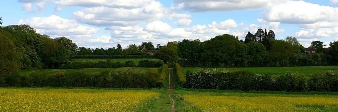 Deepa Senapathi (she/her) banner