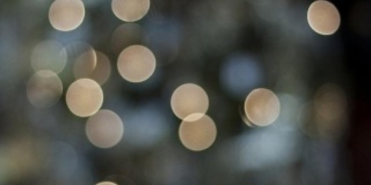 trfoster's profile banner image