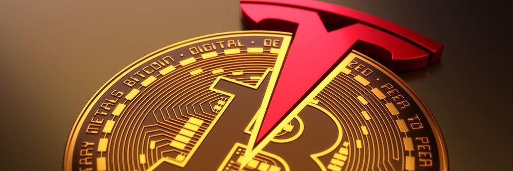 TSLA_BTC_BOOK's profile banner image