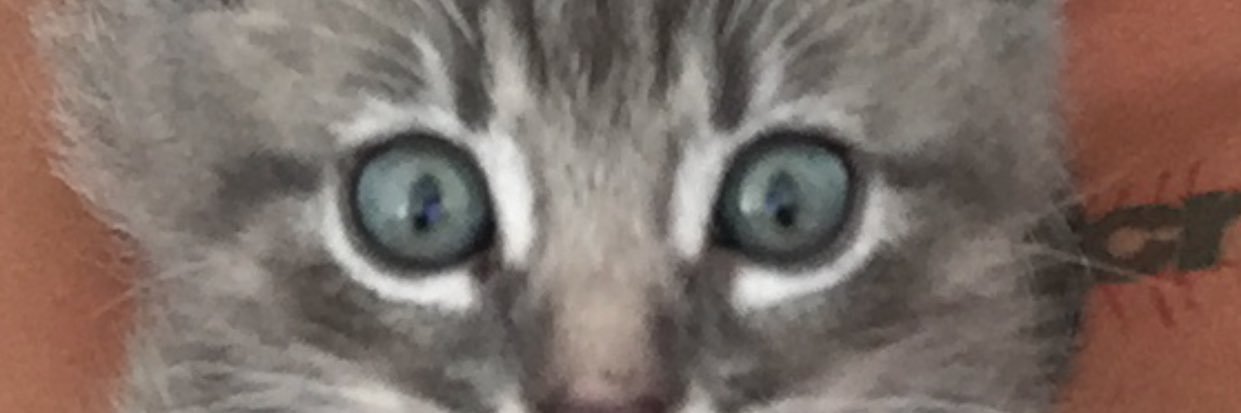 clickpicvic's profile banner image