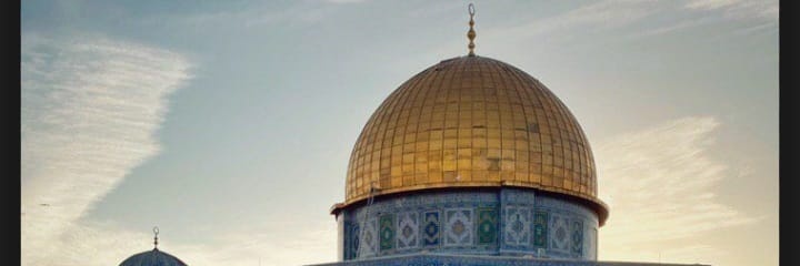 Semra Halıcı's banner