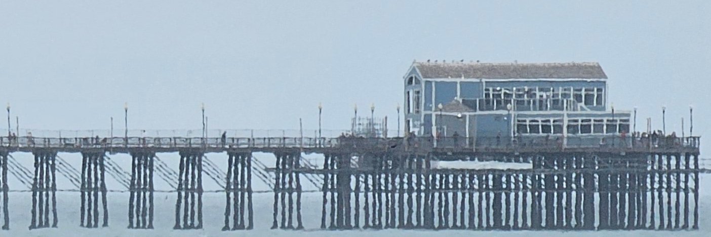 RonaldColemanPhD banner