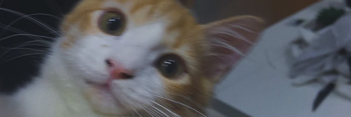 kailli ☀️ banner