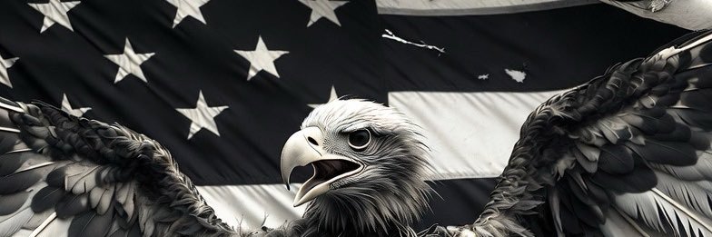 American Reich banner