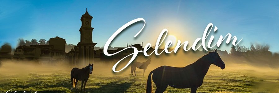 selendimedya's profile banner image