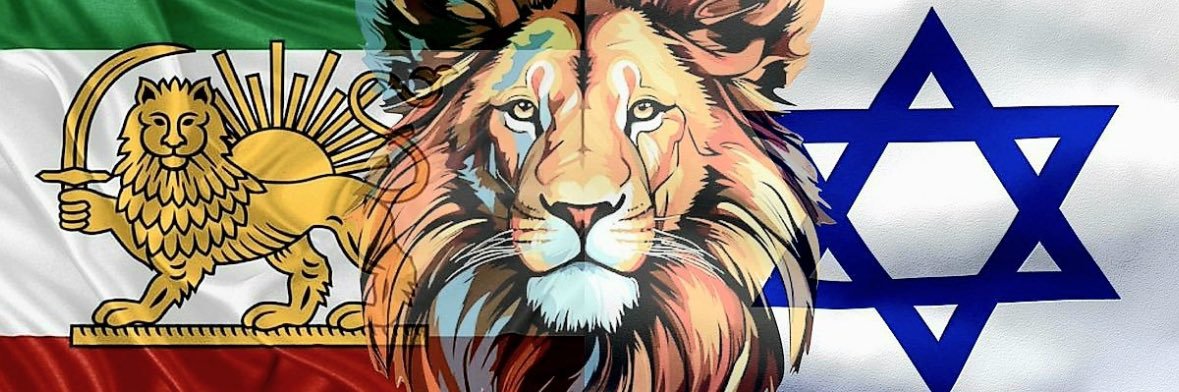 DAVID ✡️🇺🇸❤️🇮🇱🎗️ banner