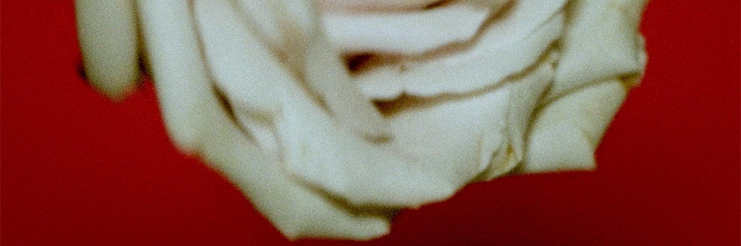 TraitorIsBetty🍒 banner