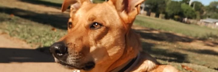 MFlorMontiel's profile banner image