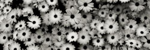 Jimenamellado's profile banner image