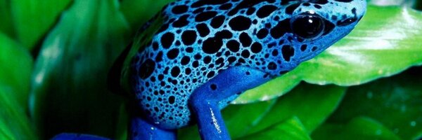 PinedaScience Profile Banner