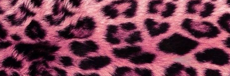 Marco Cavaliere banner