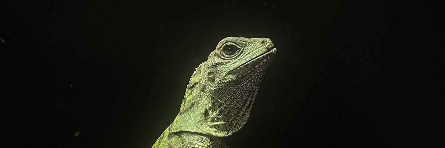 teyo_Reptiles's profile banner image