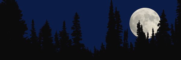 ShadowFanc24064 Profile Banner