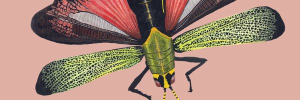 AZInsectFest Profile Banner