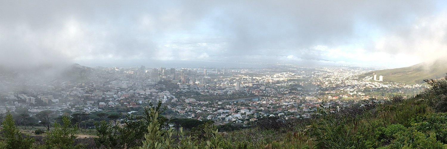 Michael Willis banner