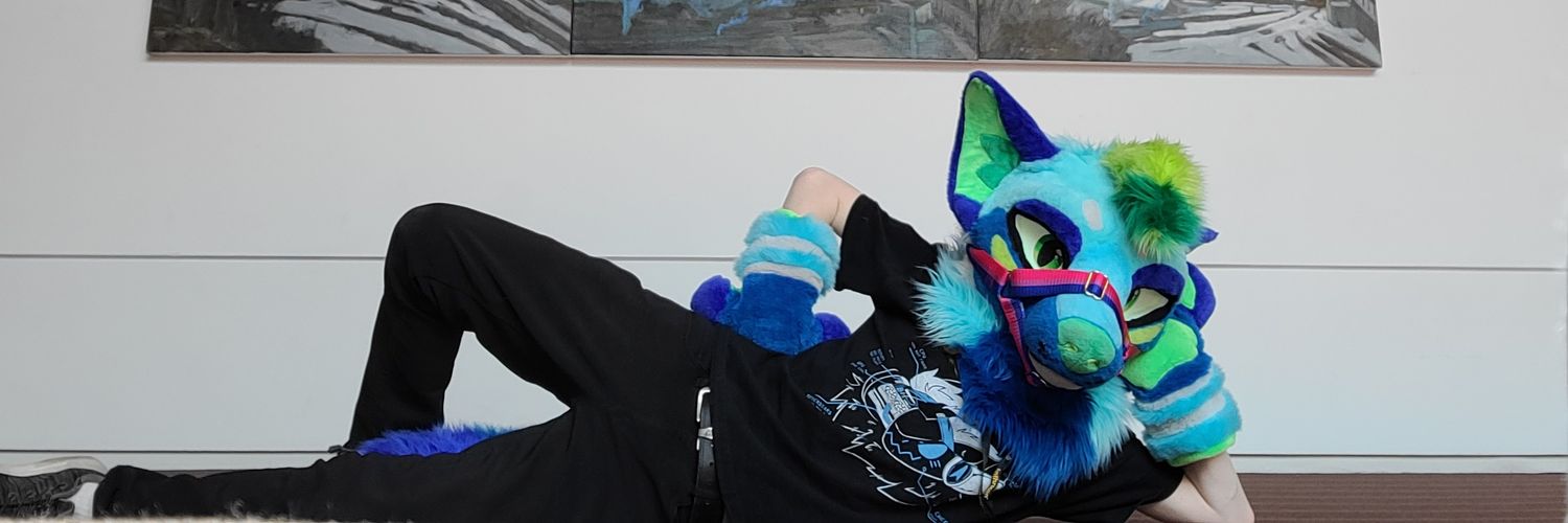 Colin The Shork :3 banner
