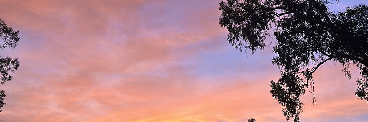 KatScarfo's profile banner image