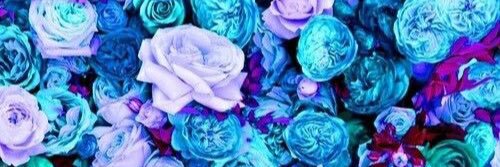 KayelaWest24's profile banner image