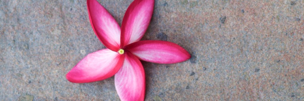 simplyvoice's profile banner image