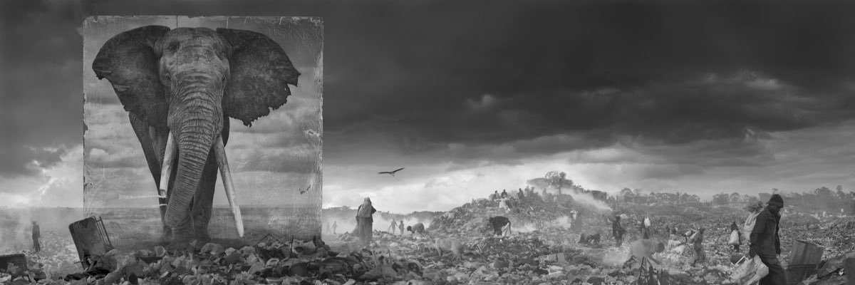 Donhangani's profile banner image