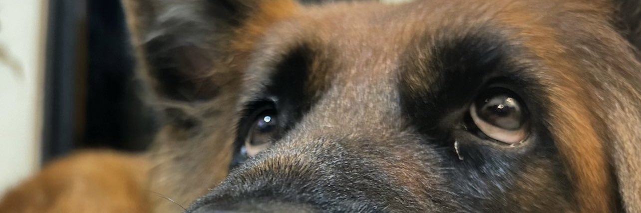 JudithGdeCrespo's profile banner image