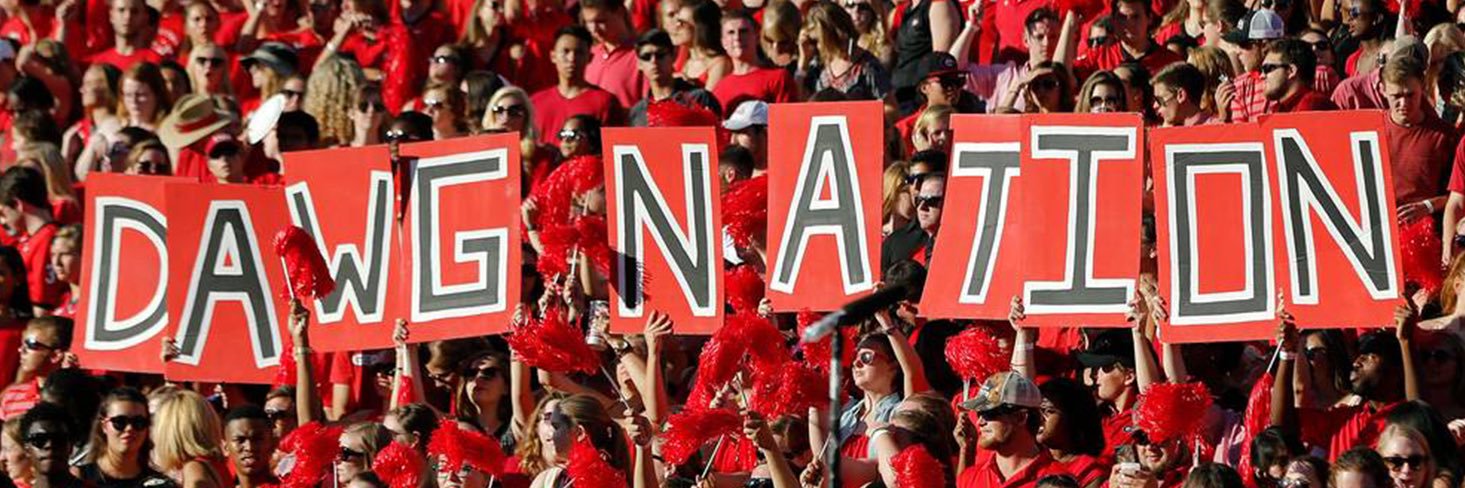 Georgia Bulldogs banner