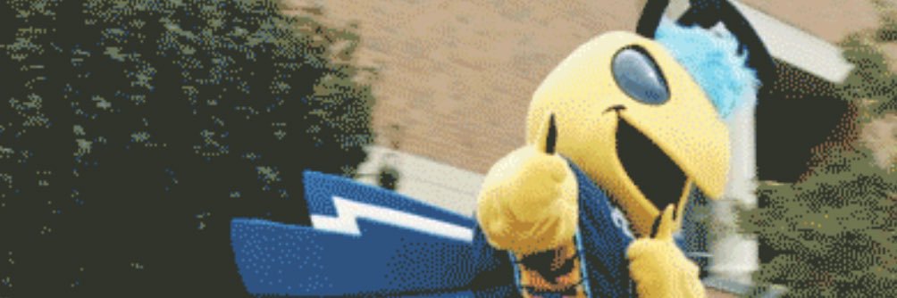 Cedarville University Baseball banner