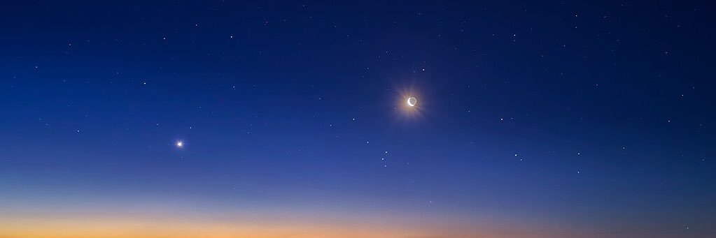 かつどん banner