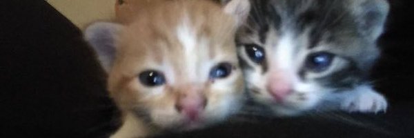 martxgx_ Profile Banner