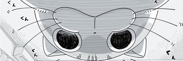 Med_darts's profile banner image