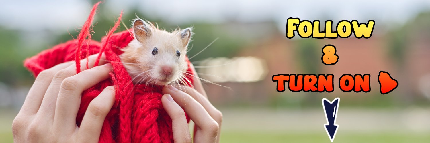 MrHamster banner