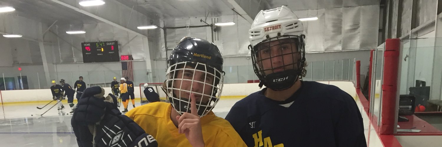 Remy Lessard banner