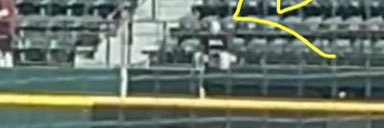 Right Field Ray Ray banner