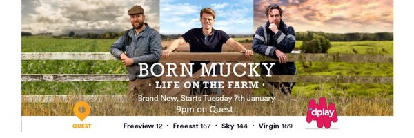 Wyefarm Profile Banner