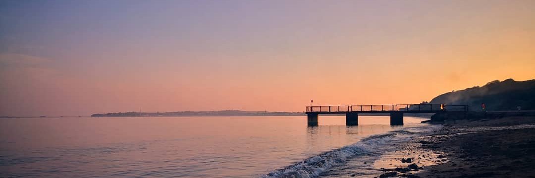 Ellen Stafford banner