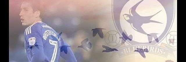 TheWelshHasbulla banner