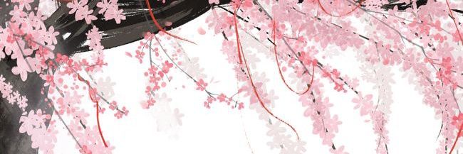 PSDKPP0's profile banner image