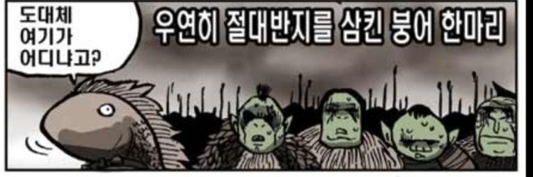 금붕어's banner