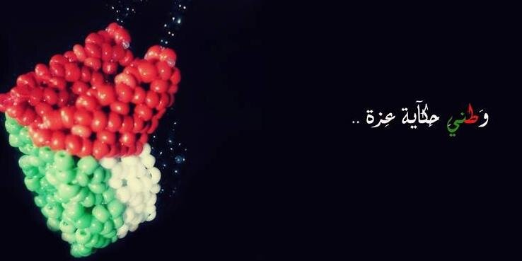 dinaAyham's profile banner image