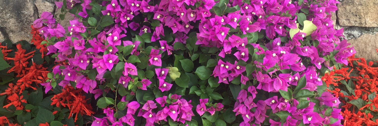 PramodGeetey's profile banner image