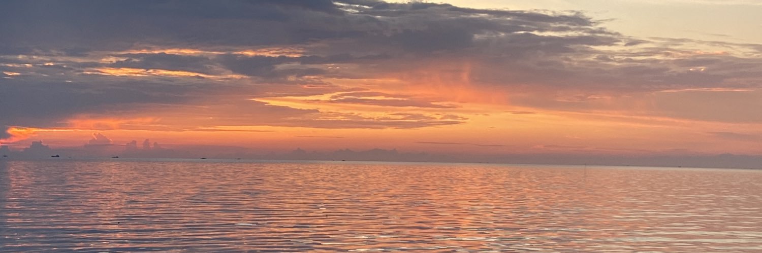 dinsaaal's profile banner image