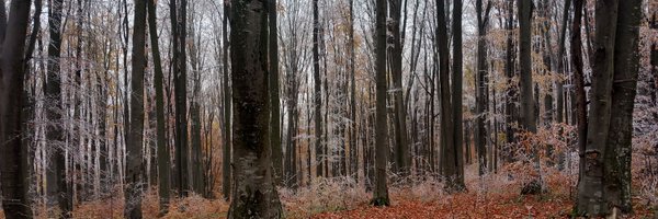 skibidi_x0 Profile Banner