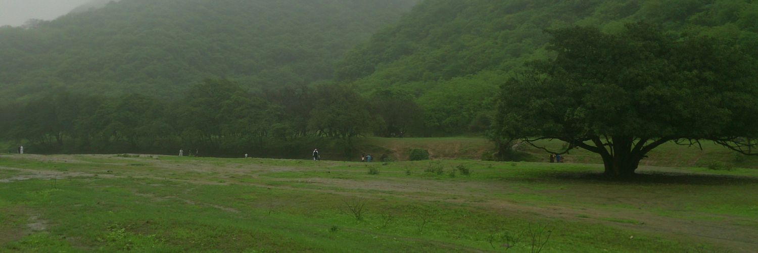 nabhan555's profile banner image