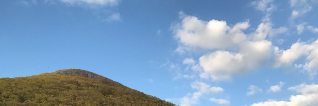 meilybkk's profile banner image